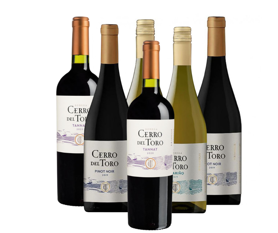 VINO CERRO DEL TORO CLASICO PROMO X 6