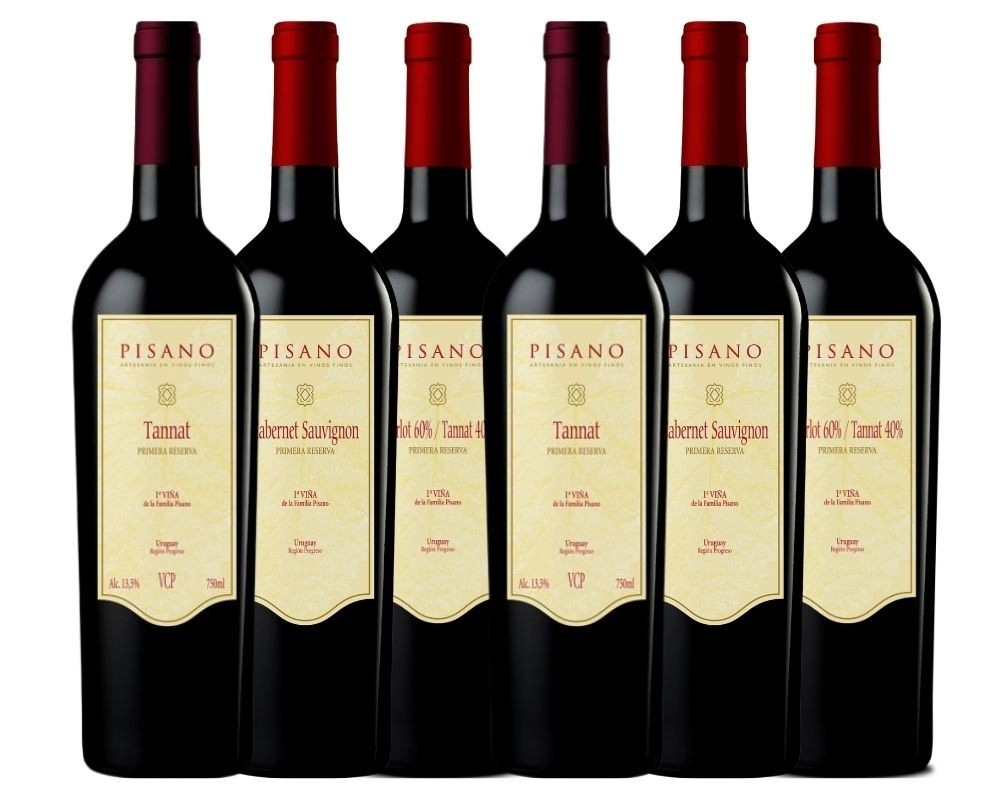 VINO PISANO VARIETAL PROMO X 6