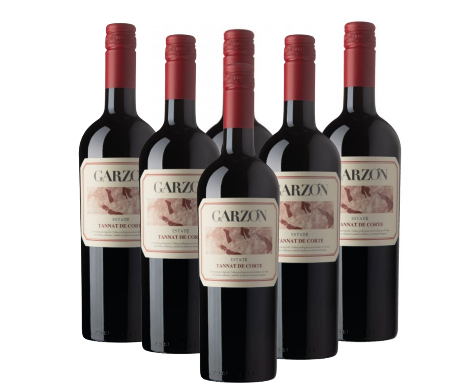 VINO GARZON TANNAT DE CORTE PROMO X 6