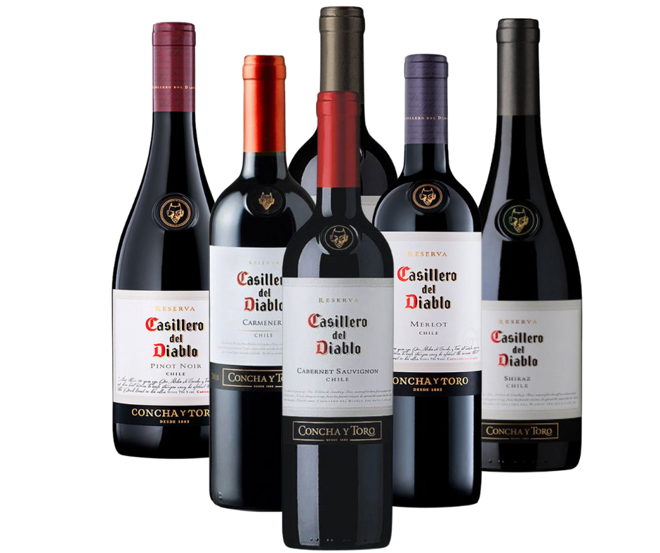 VINO CASILLERO DEL DIABLO CHILENO PROMO X 6