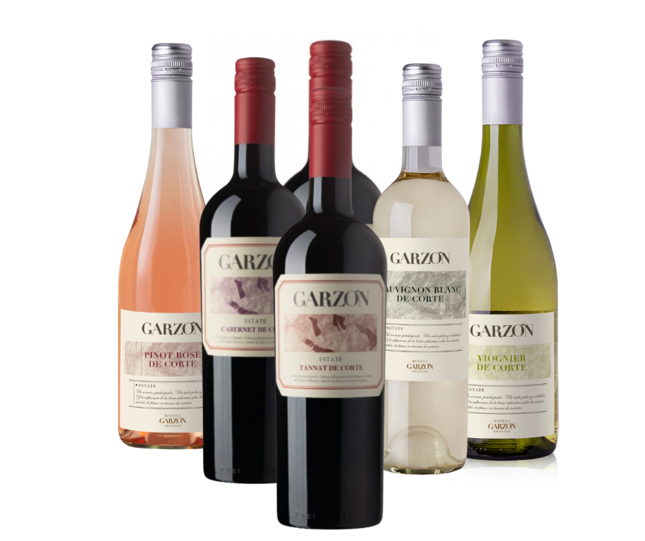VINO GARZON DE CORTE PROMO X 6