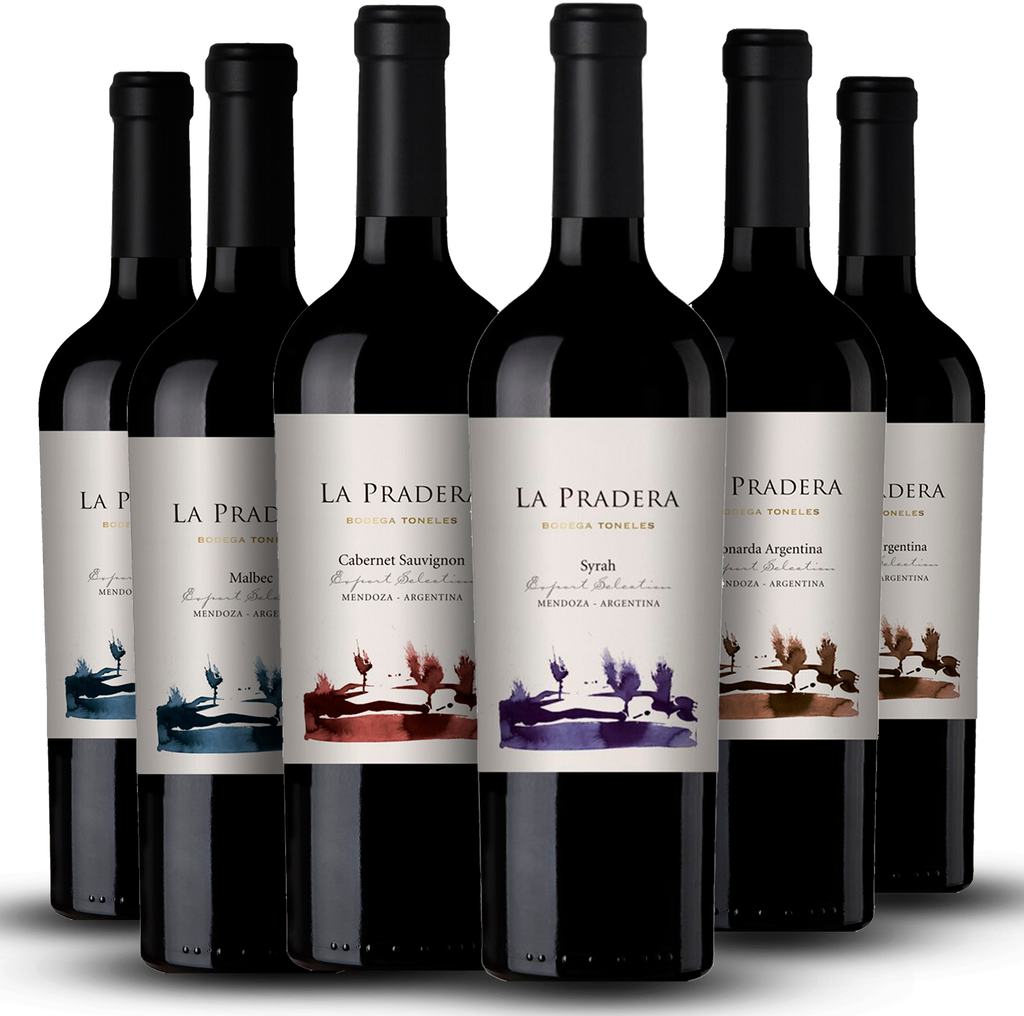 VINO LA PRADERA PROMO X 6