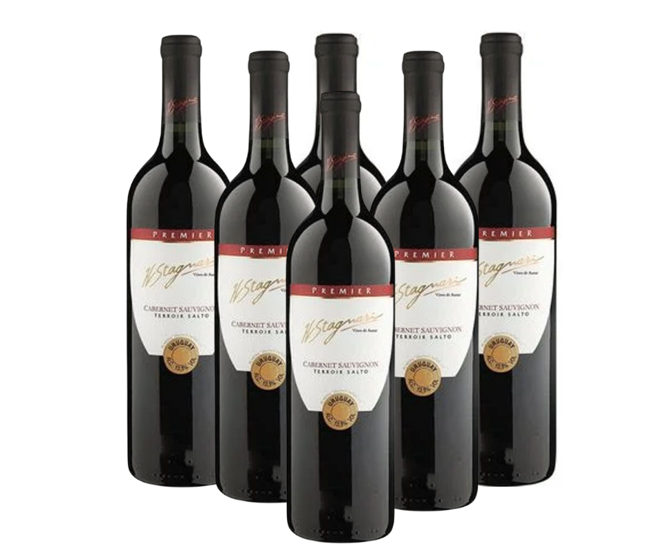 VINO H.STAGNARI CABERNET SAUVIGNON PROMO X 6