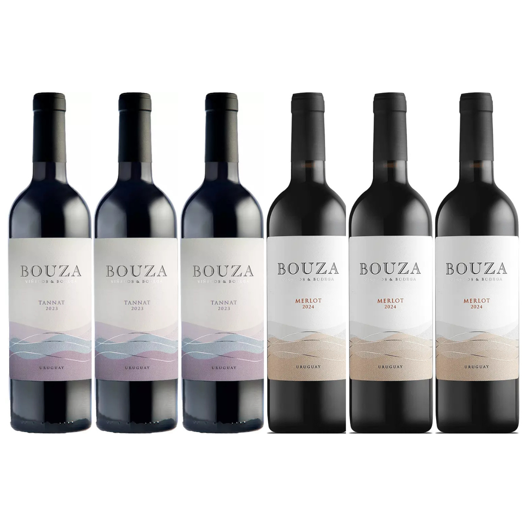 VINO BOUZA PROMO X 6